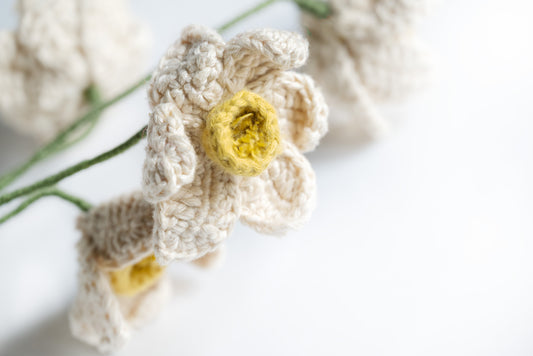 Nargis Crochet Flower