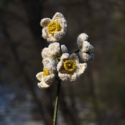 Nargis Crochet Flower