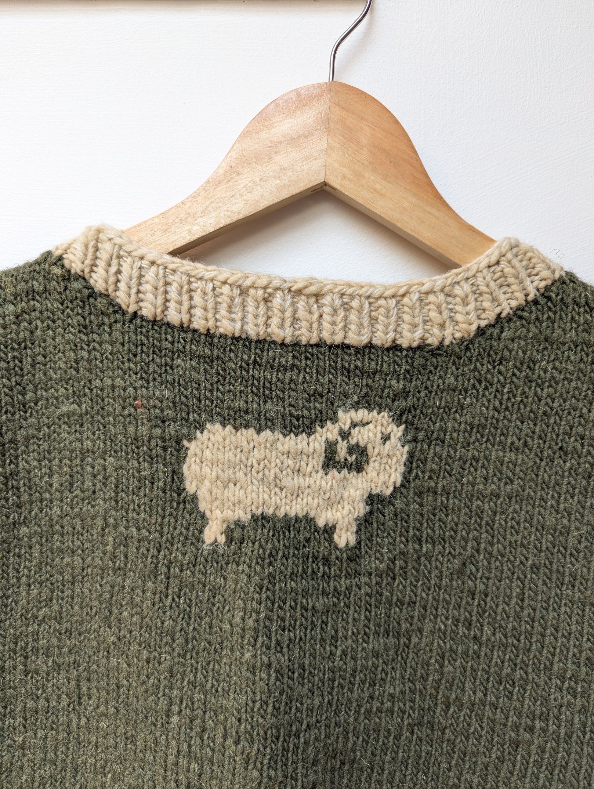 Darcha handloom wool knit vest colour olive greeen back close view for men and women