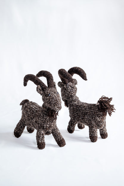 Himalayan Horns Ibex