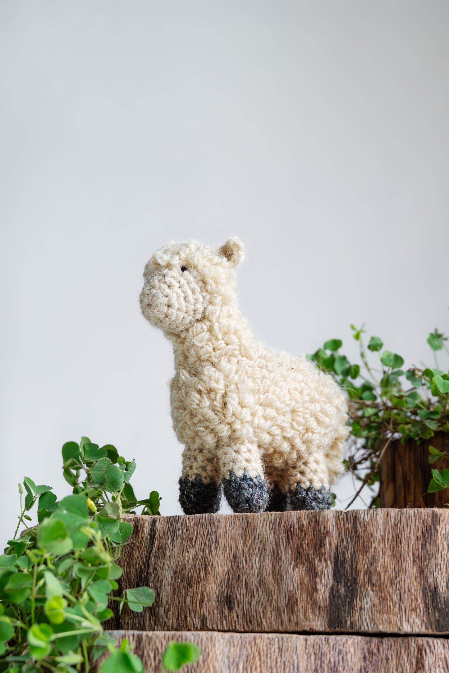 Bhedu Hand-Crochet Sheep – Big